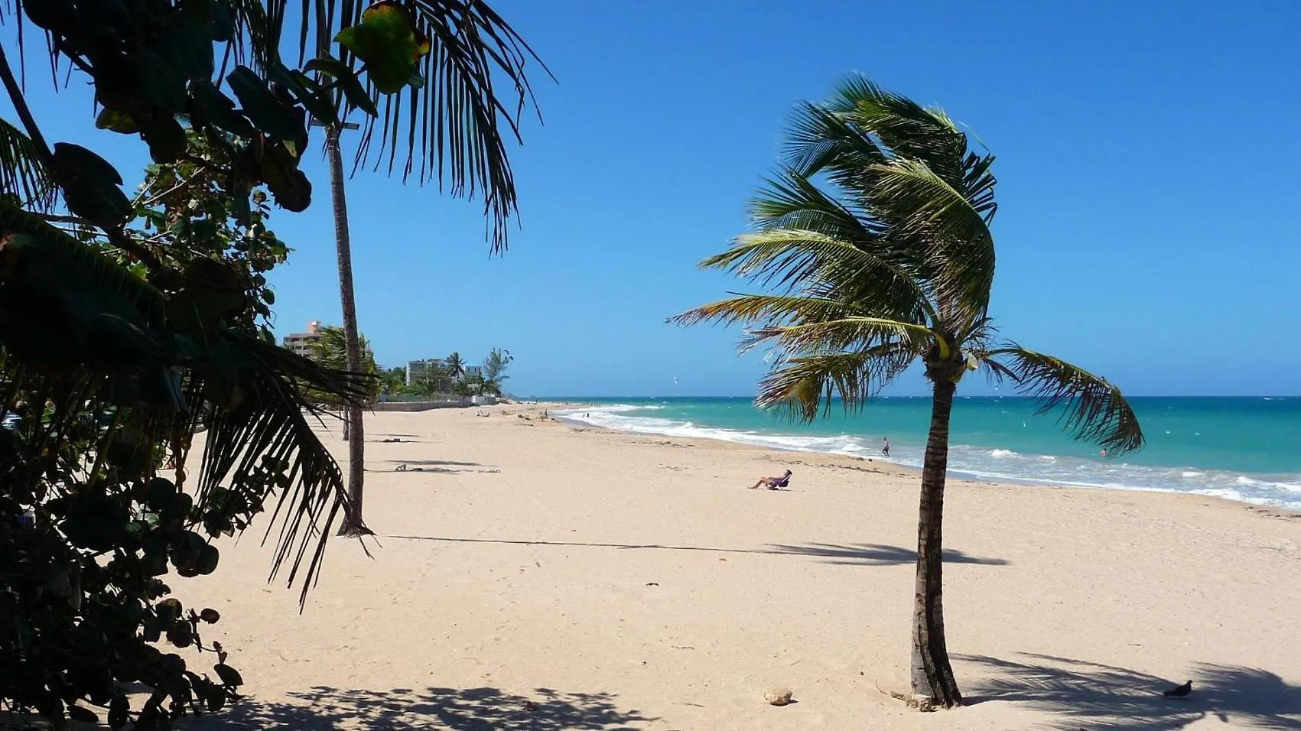 Serena Baja San Juan
